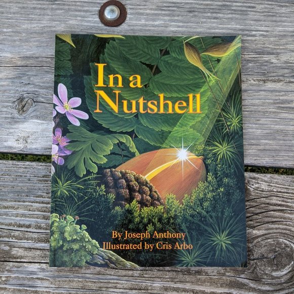 Childrens Fall Autumn Thanksgiving Books Bundle Set of 3 - Picture 2 of 4